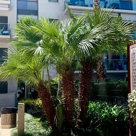 Jardin Turquesa Daire