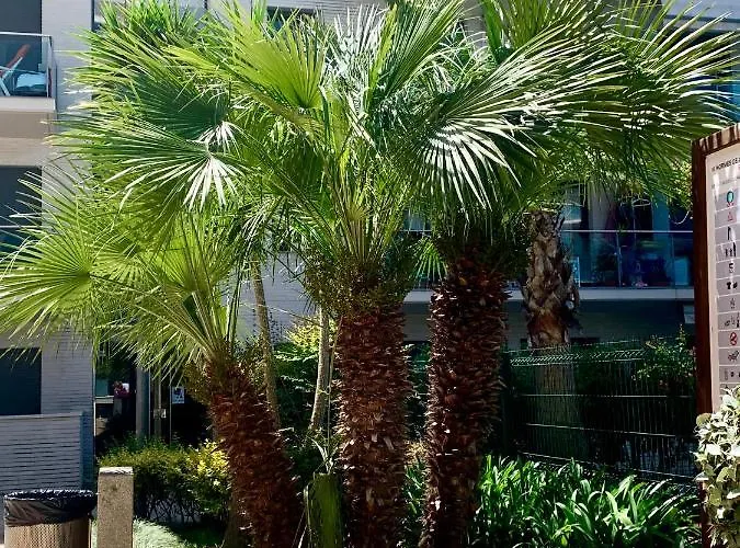Jardin Turquesa Appartamento